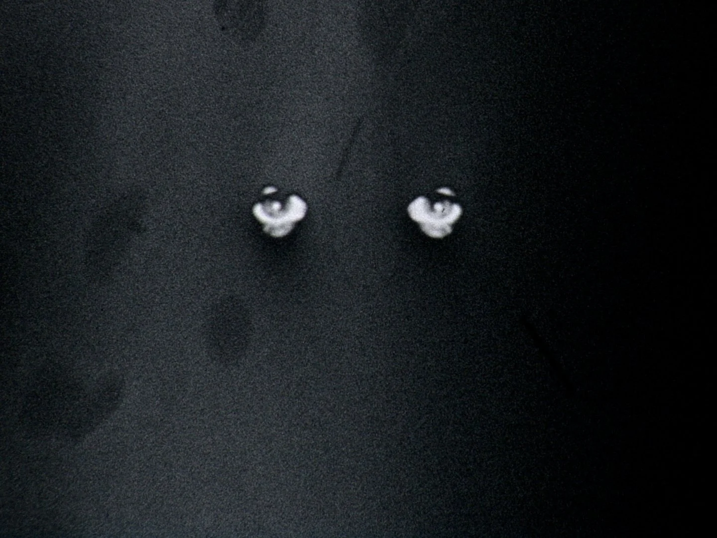  Mary Helena Clark /  Orpheus (outtakes) , 6 min, 16mm shown as video, b&amp;w, sound, 4:3, 2013 