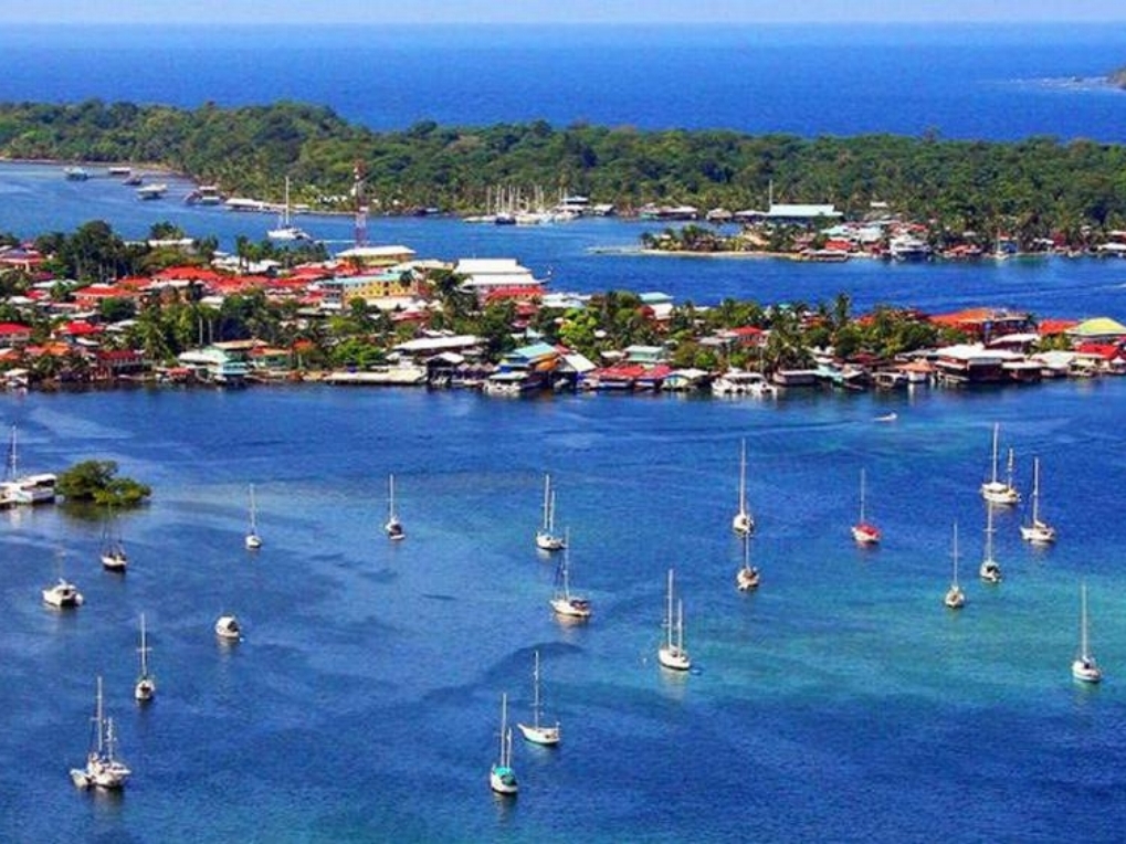 bocasparadise.com_-1440x564_c.jpg