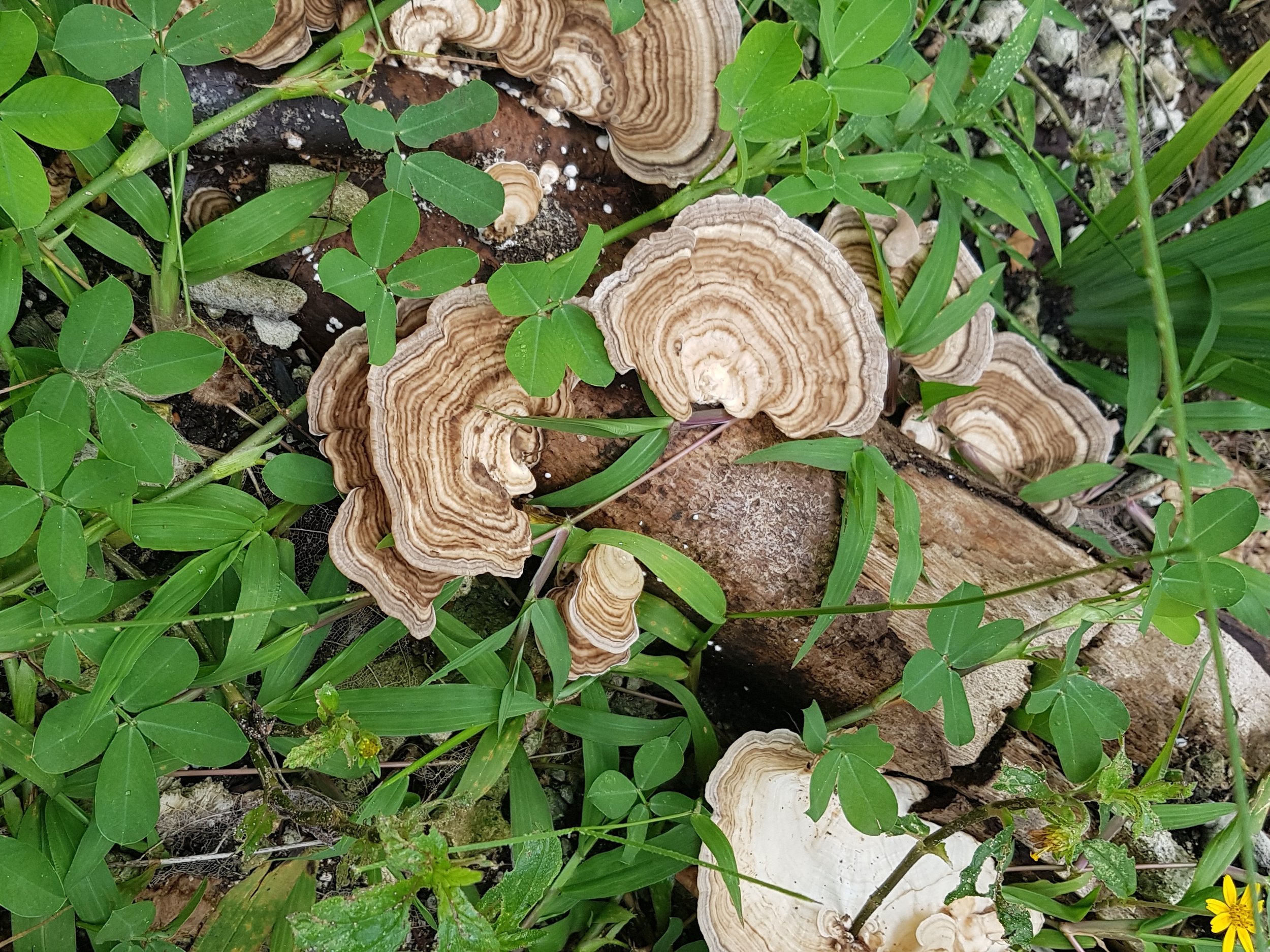 20180802_114425.jpg