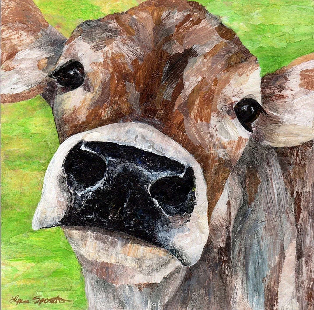 Cow.jpg