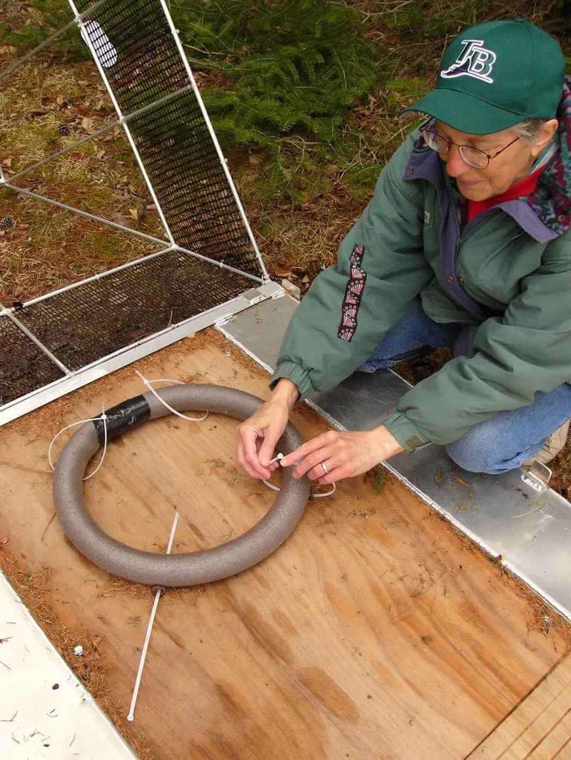 Cable ties secured only at ends