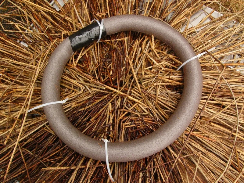 Bulrushes under nest ring (3)