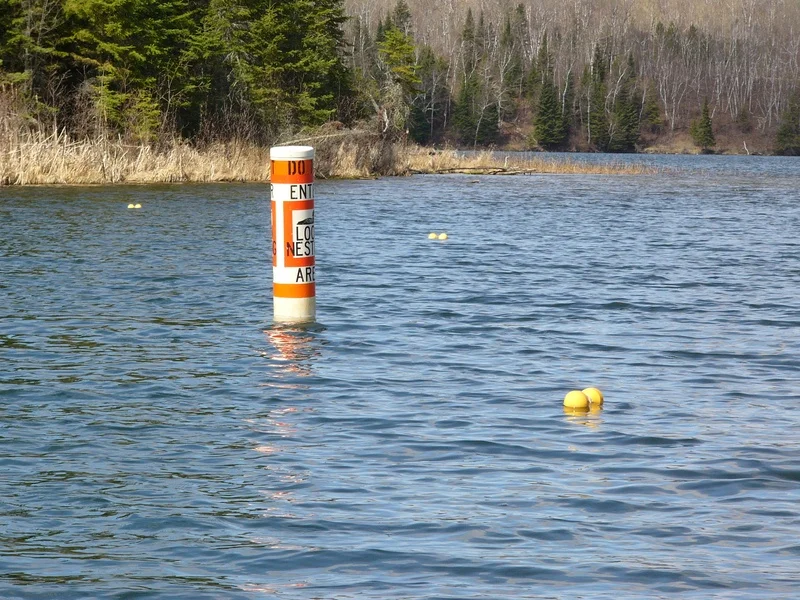 Buoy, with territory markers