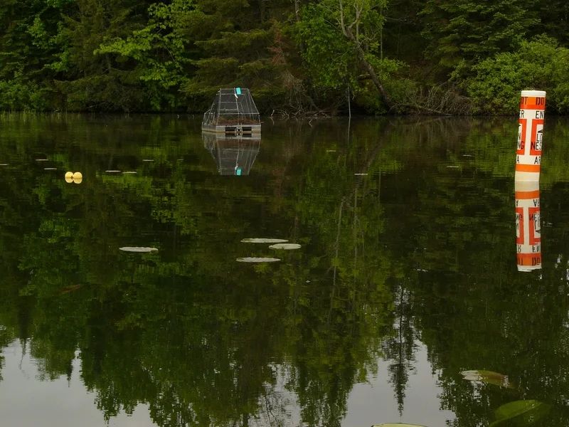 Buoy with territory markers