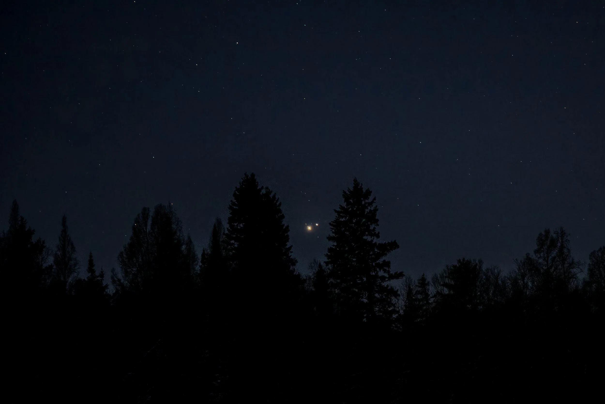 20201221-0B0B6346-Edit-2.jpg