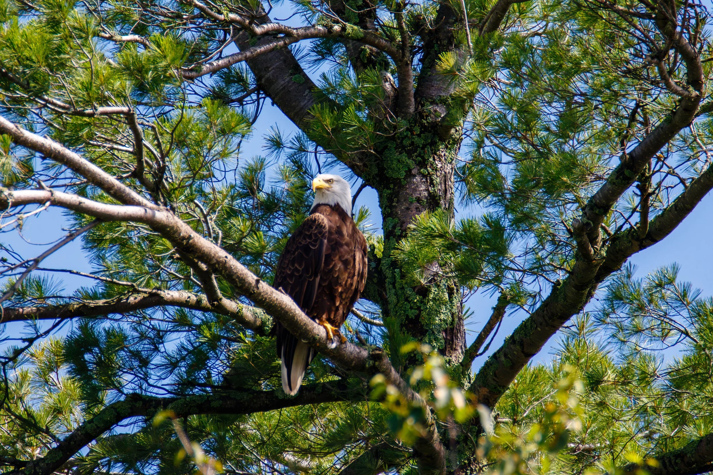 684A2080-Enhanced-NR.jpg