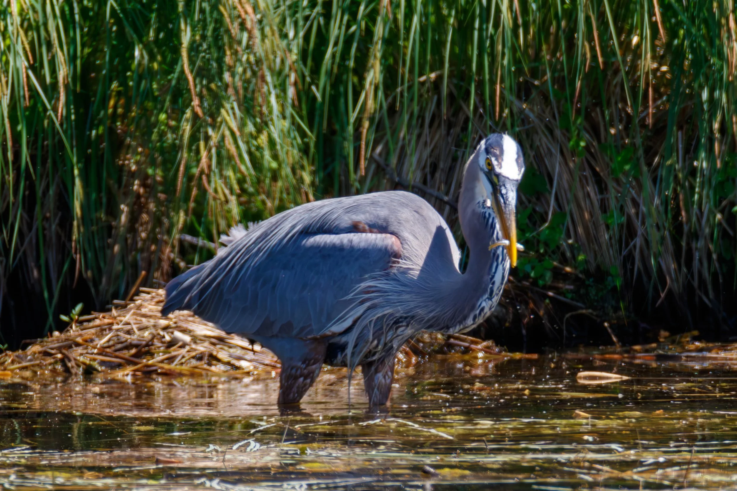 684A5153-Enhanced-NR.jpg