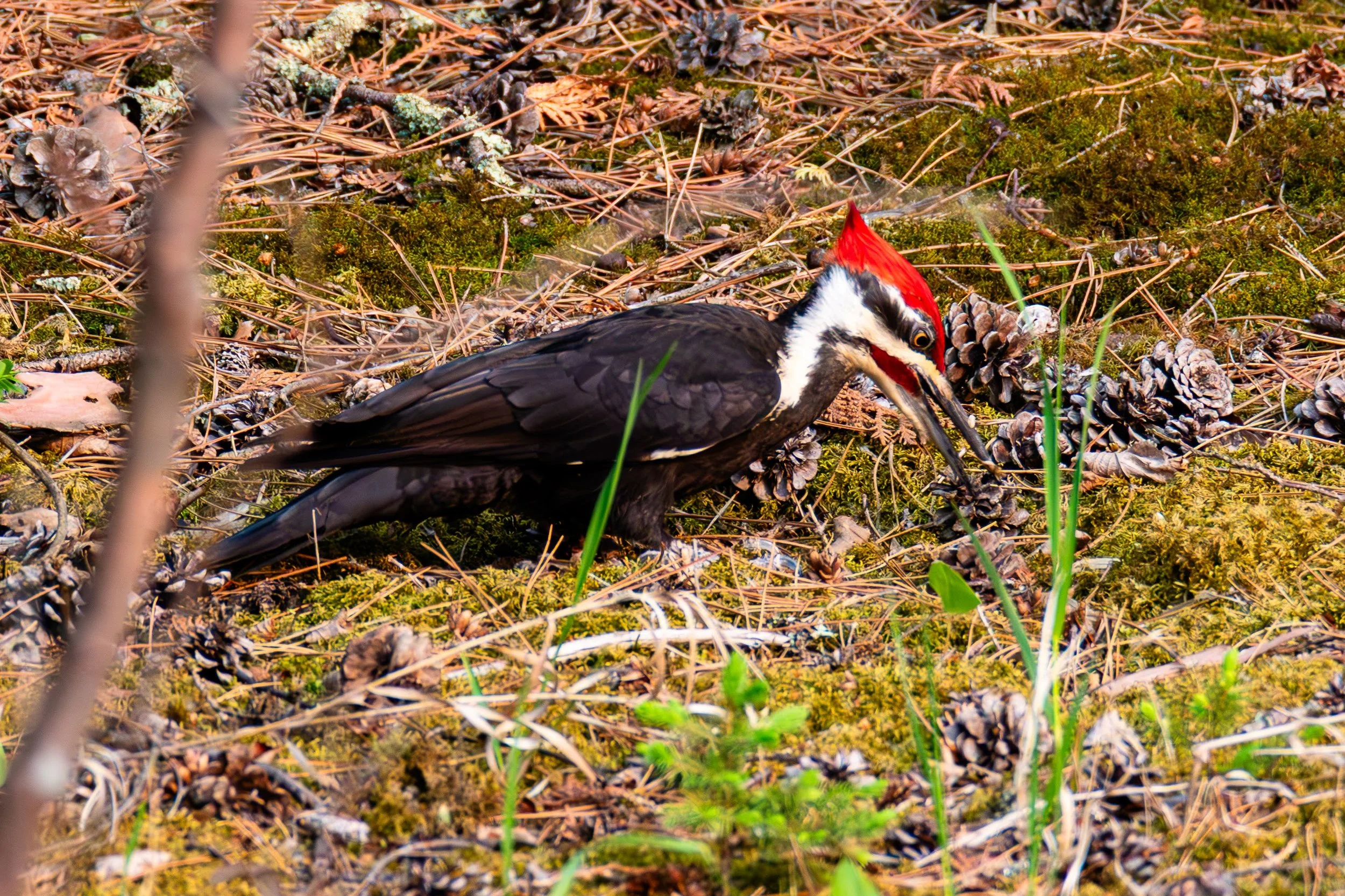 684A7345-Enhanced-NR.jpg