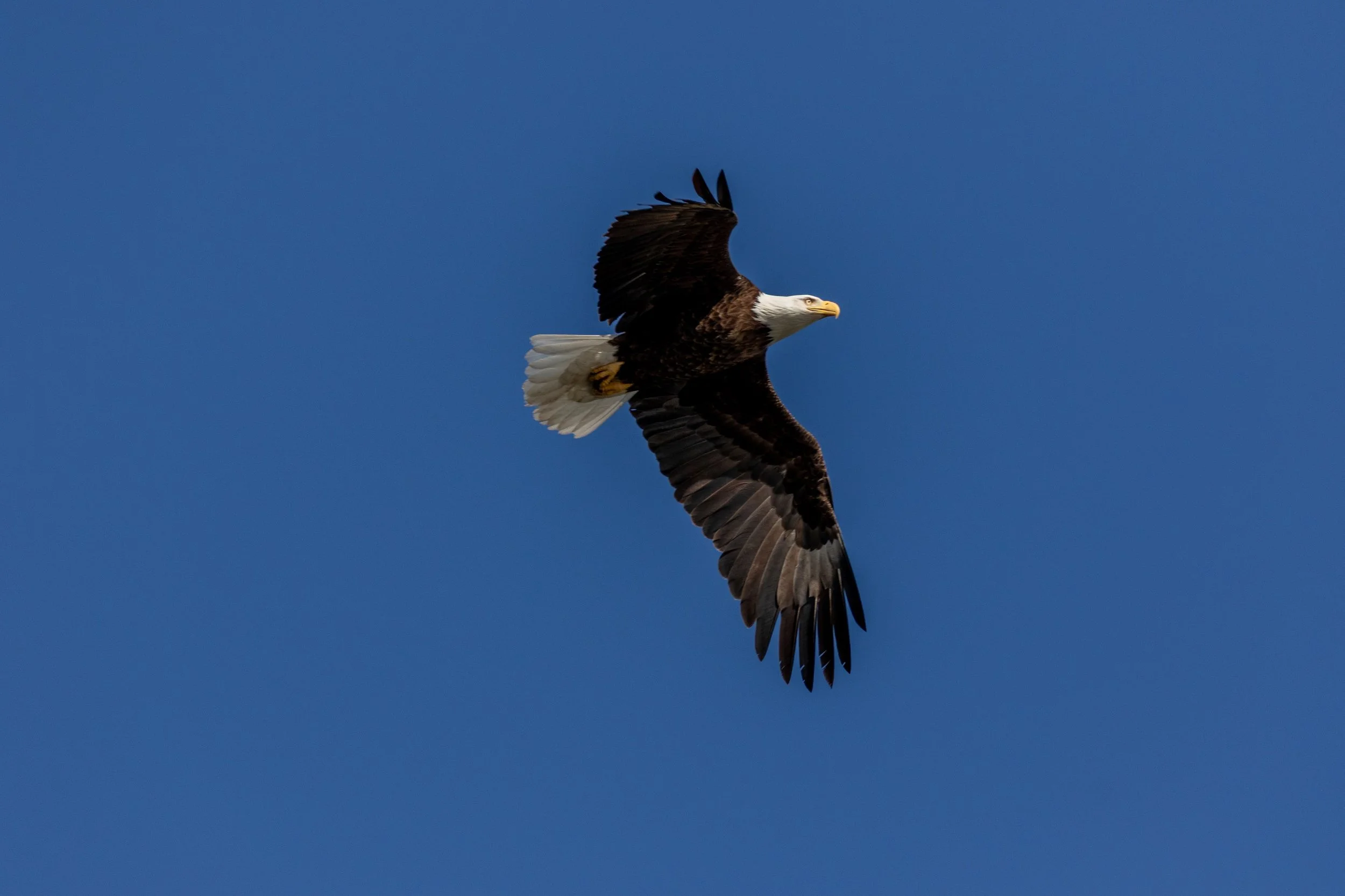 684A5703.jpg