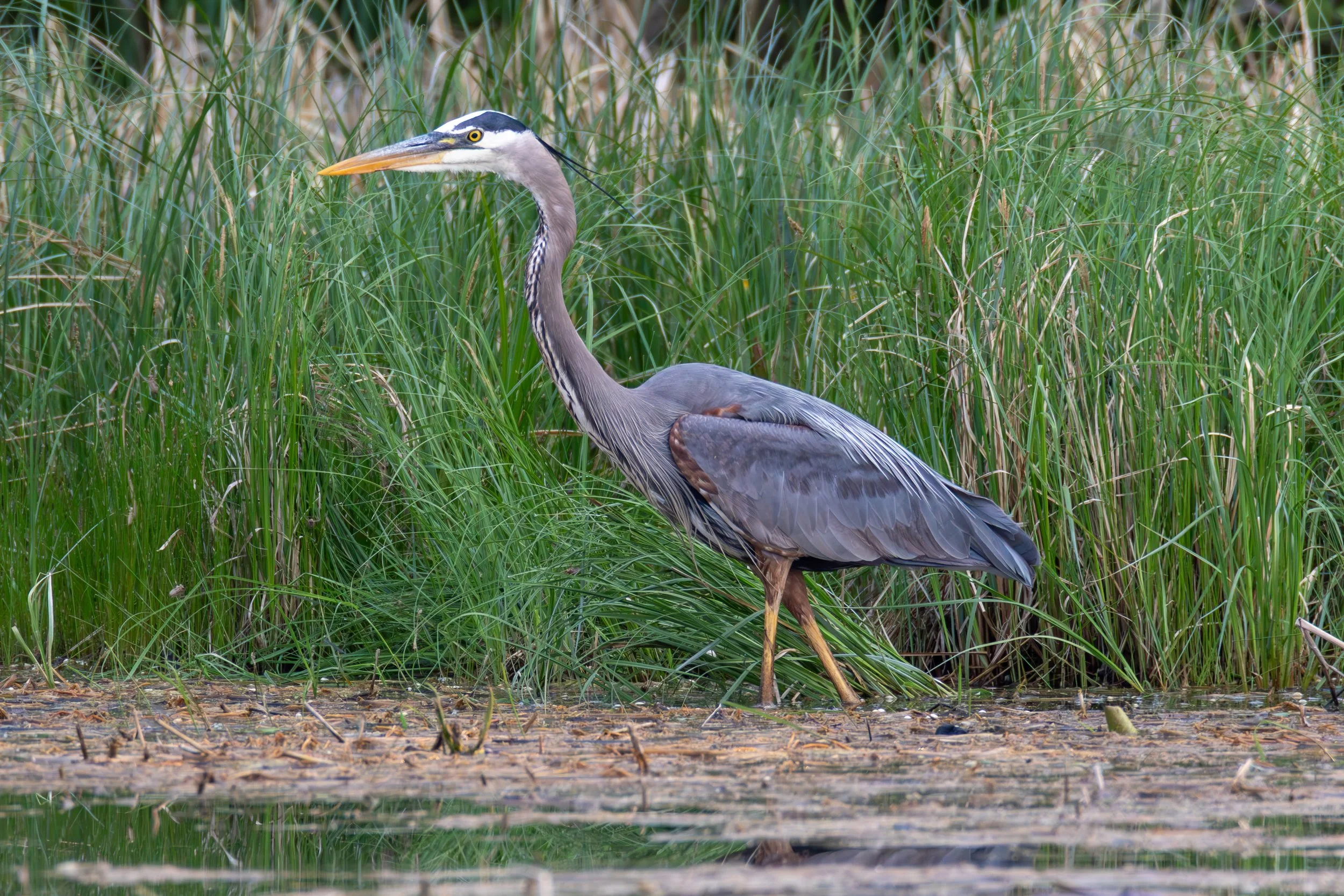 684A7157-Enhanced-NR.jpg