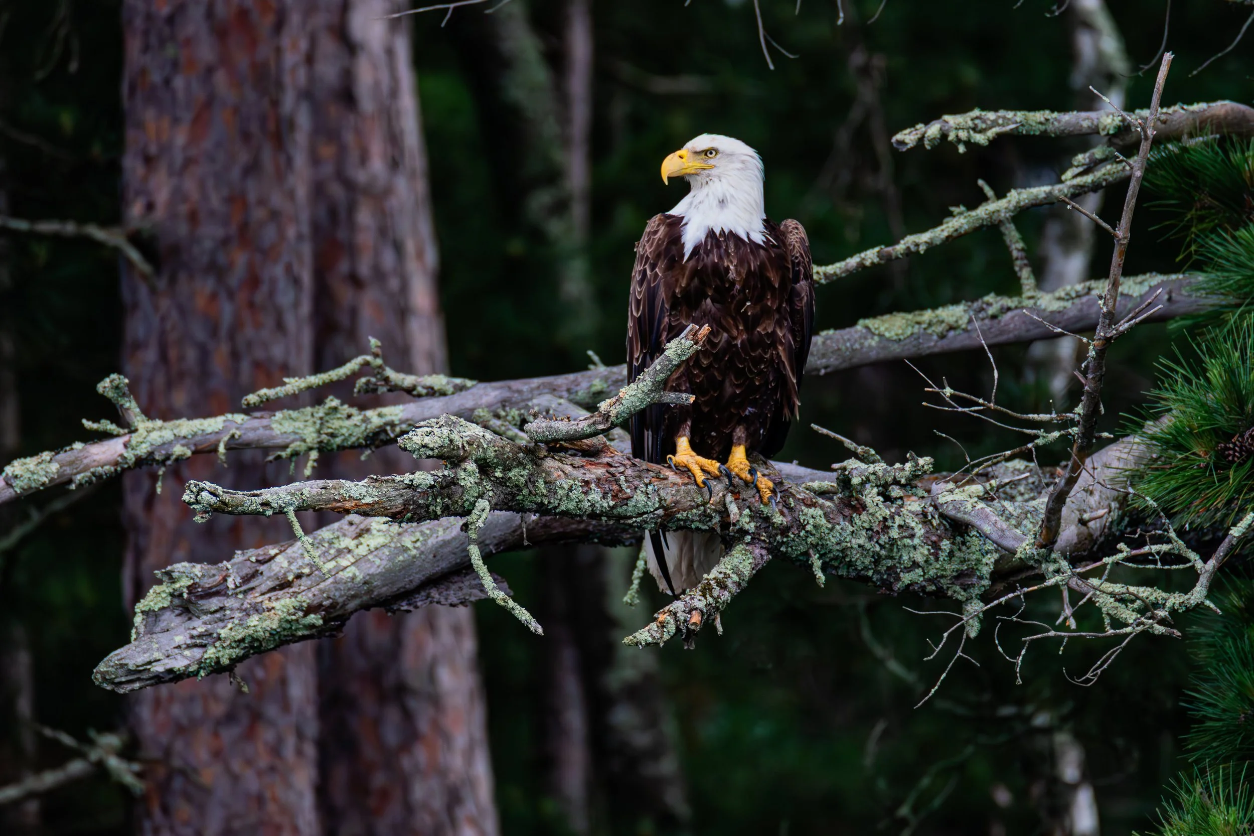 684A7665-Enhanced-NR.jpg