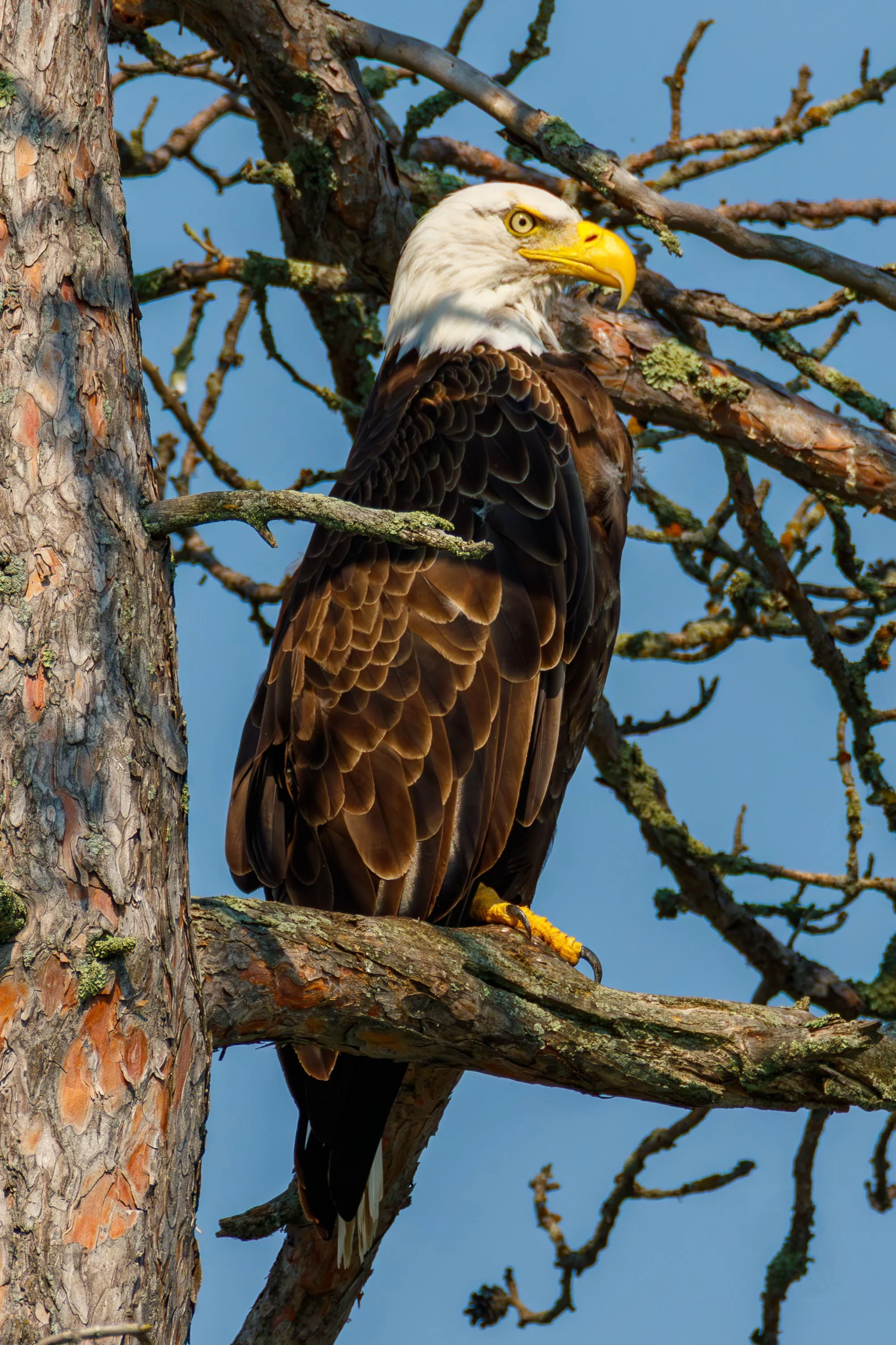 684A0099-Enhanced-NR.jpg
