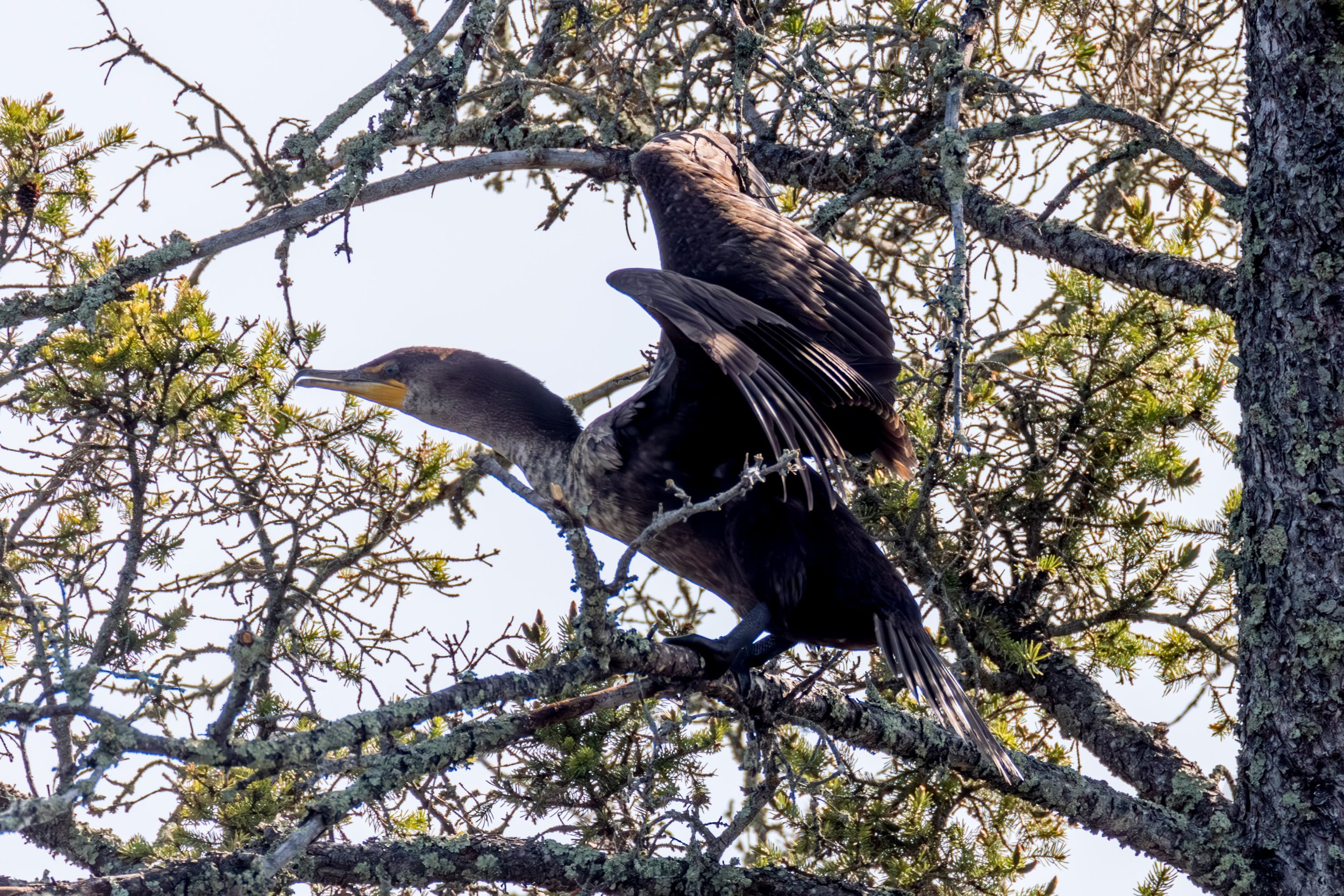 684A3772-Enhanced-NR.jpg