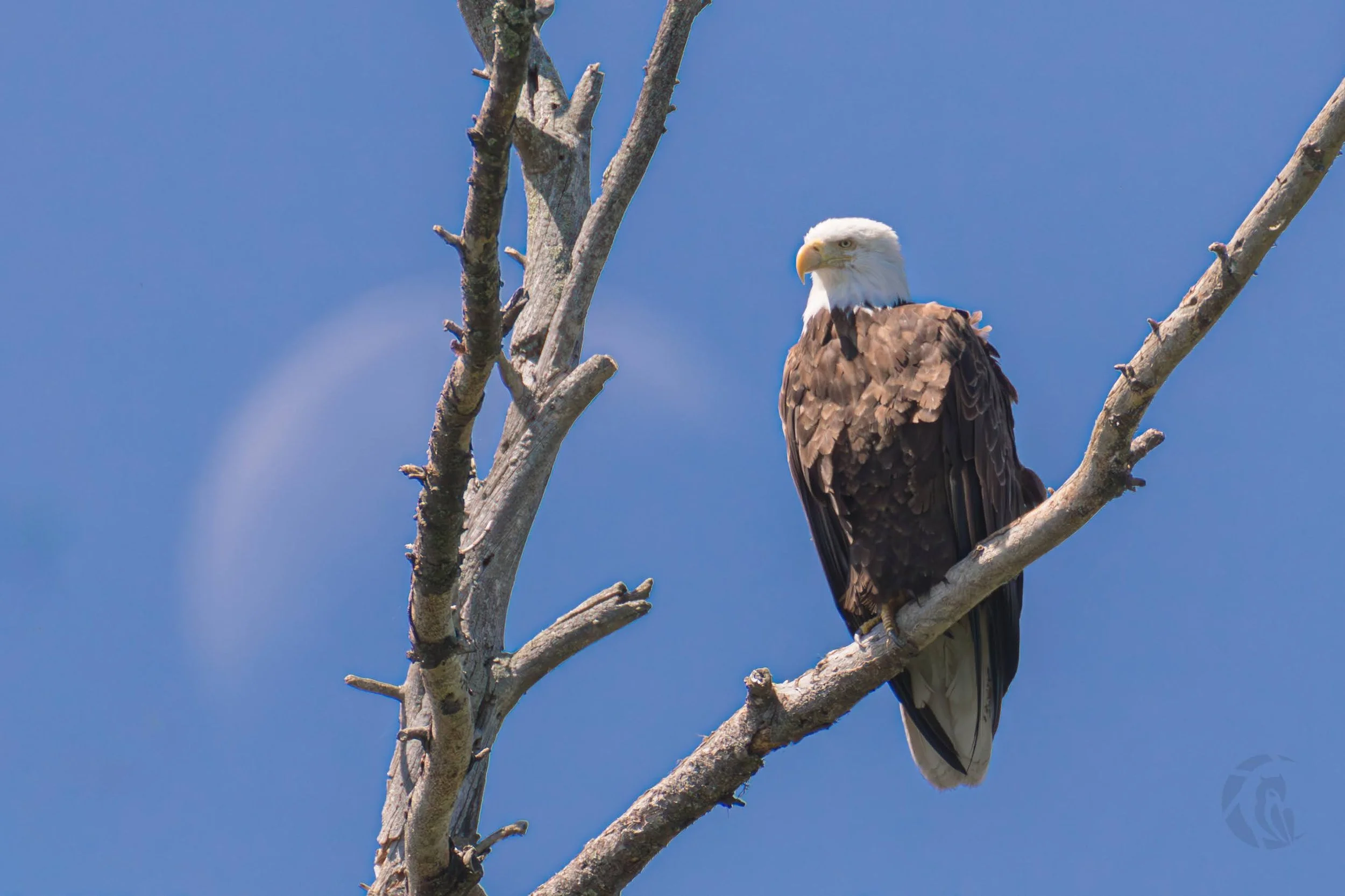 684A4887-Enhanced-NR-Edit-2.jpg
