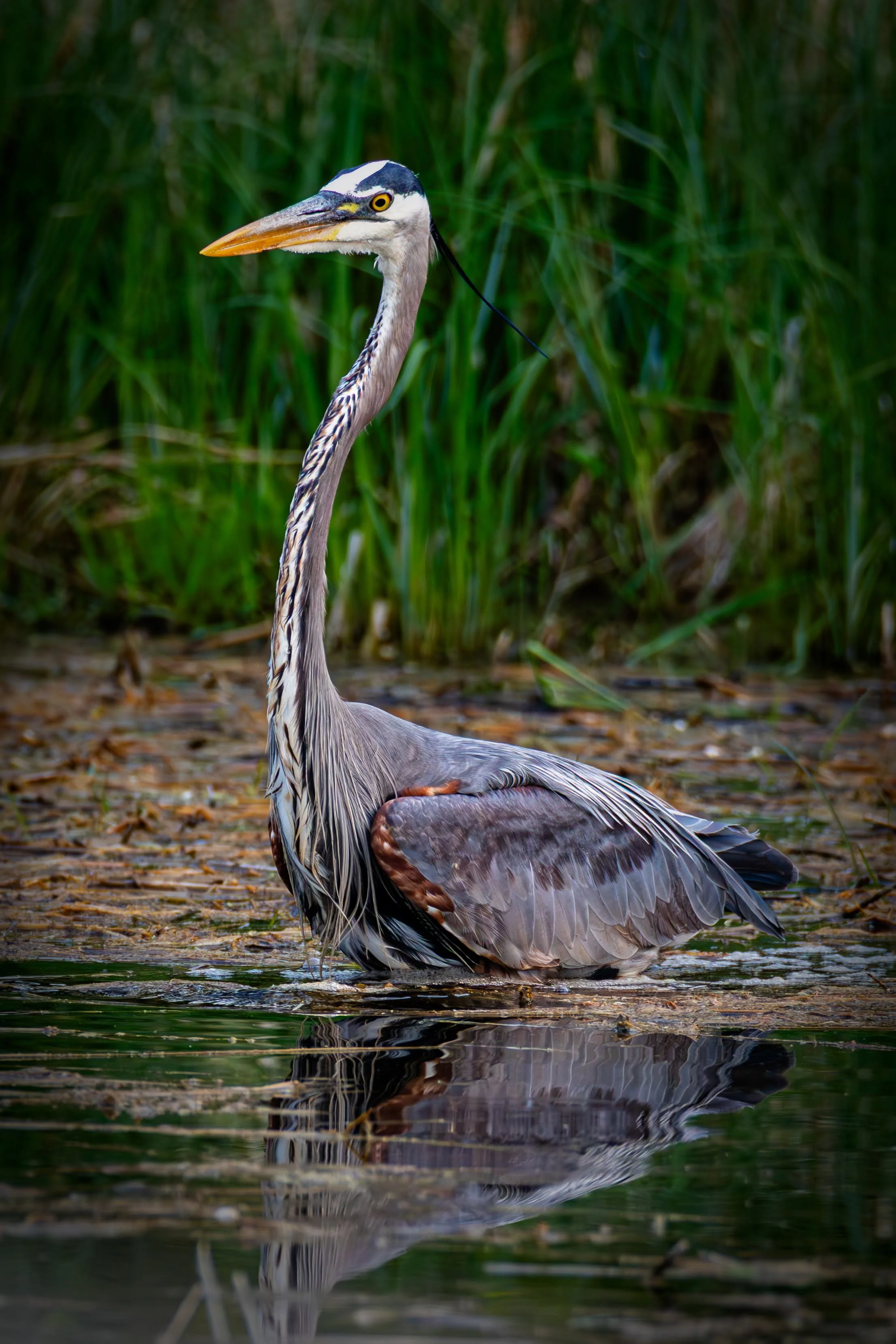 684A7190-Enhanced-NR.jpg