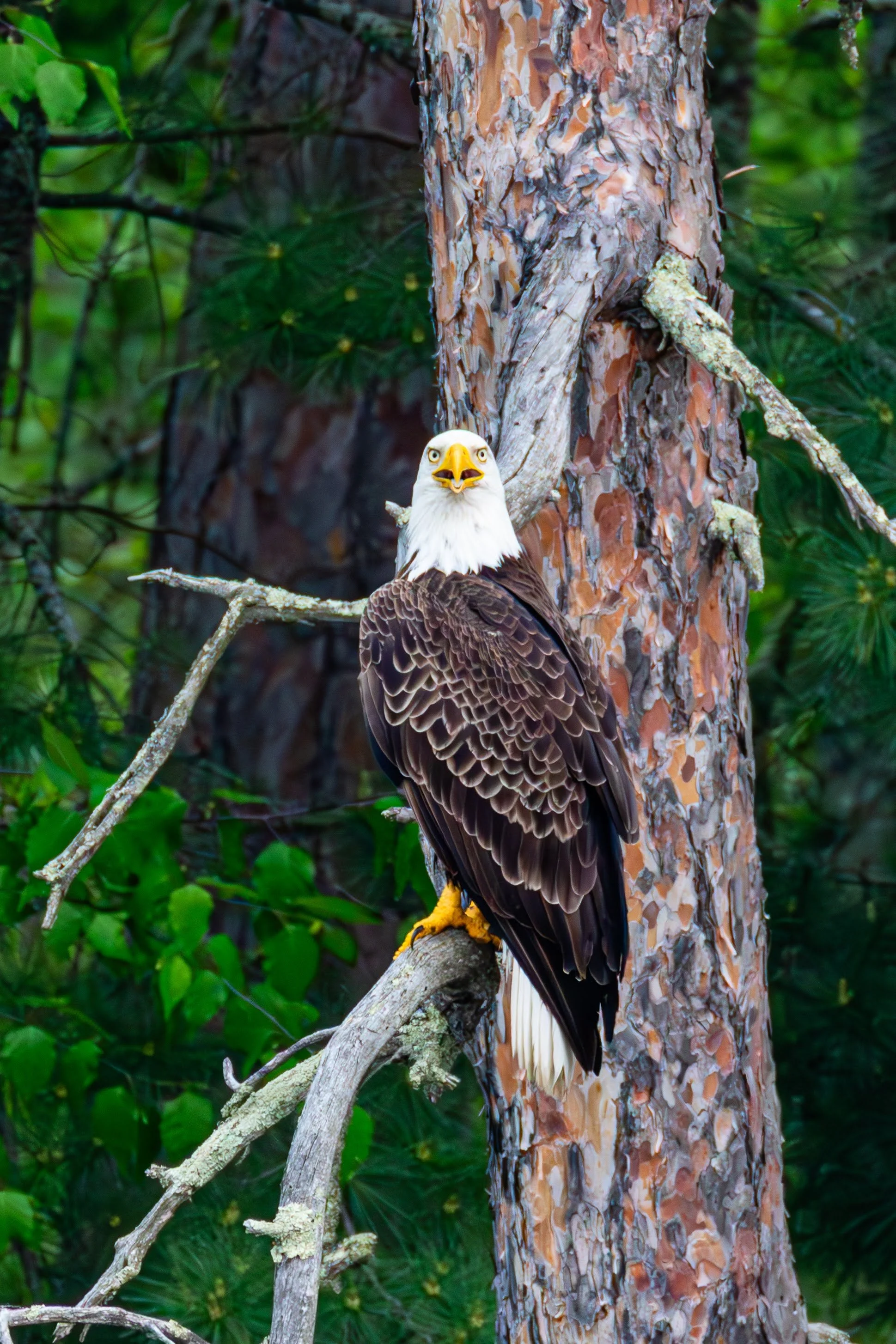 684A7243-Enhanced-NR.jpg