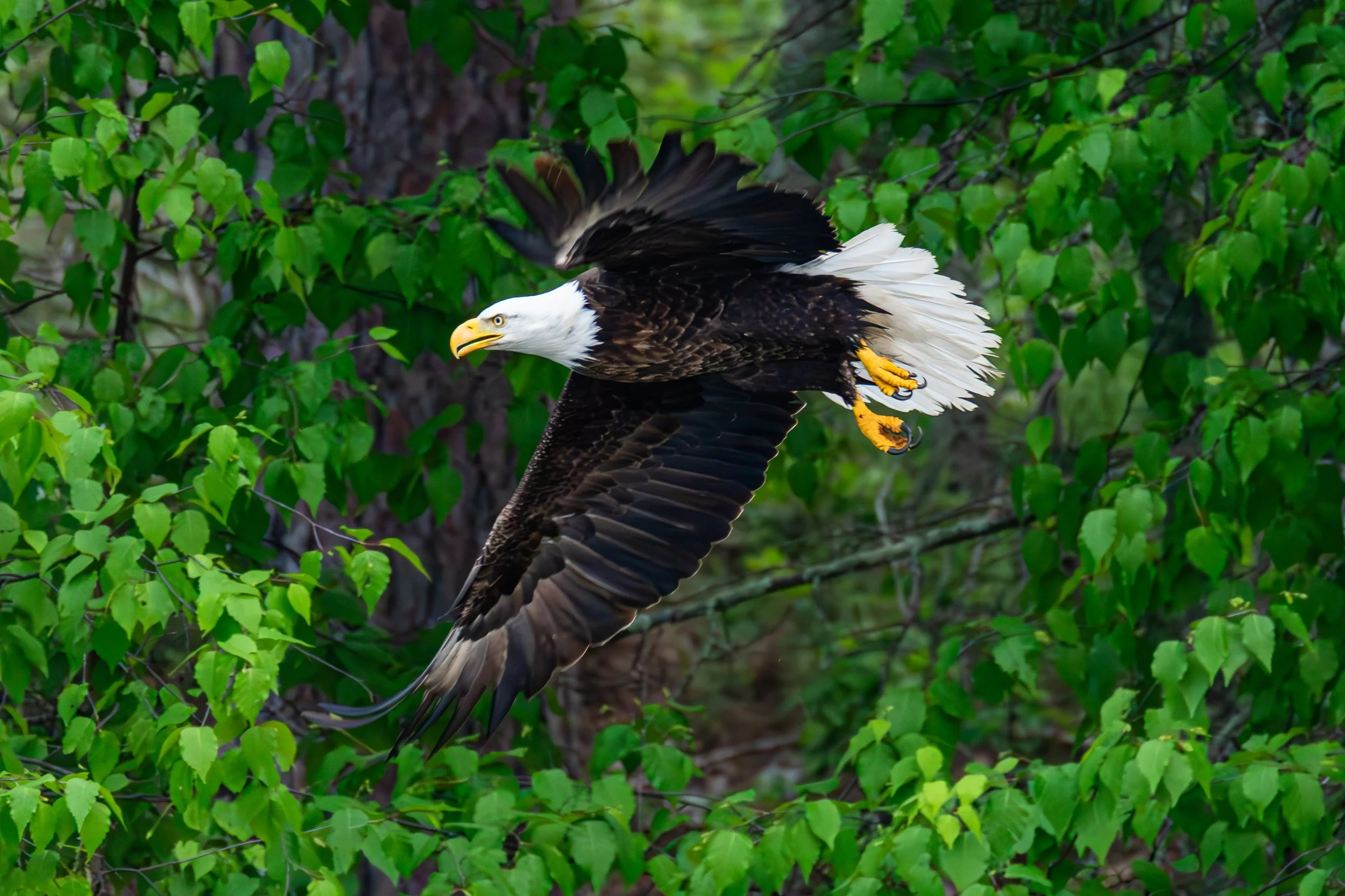 684A7254-Enhanced-NR.jpg