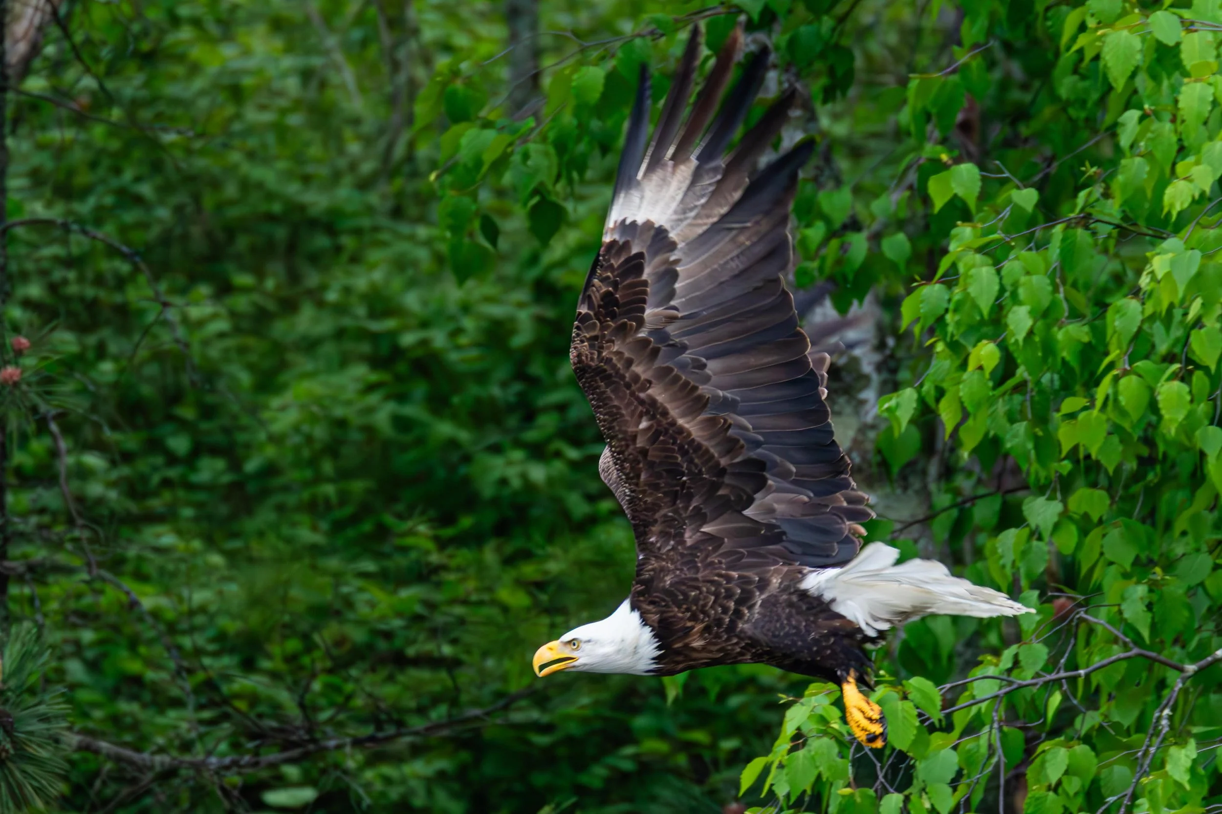 684A7258-Enhanced-NR.jpg