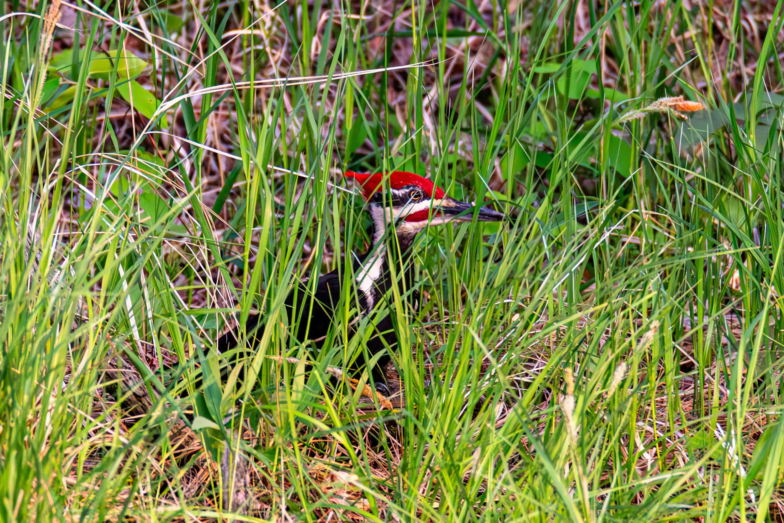 684A7290-Enhanced-NR.jpg