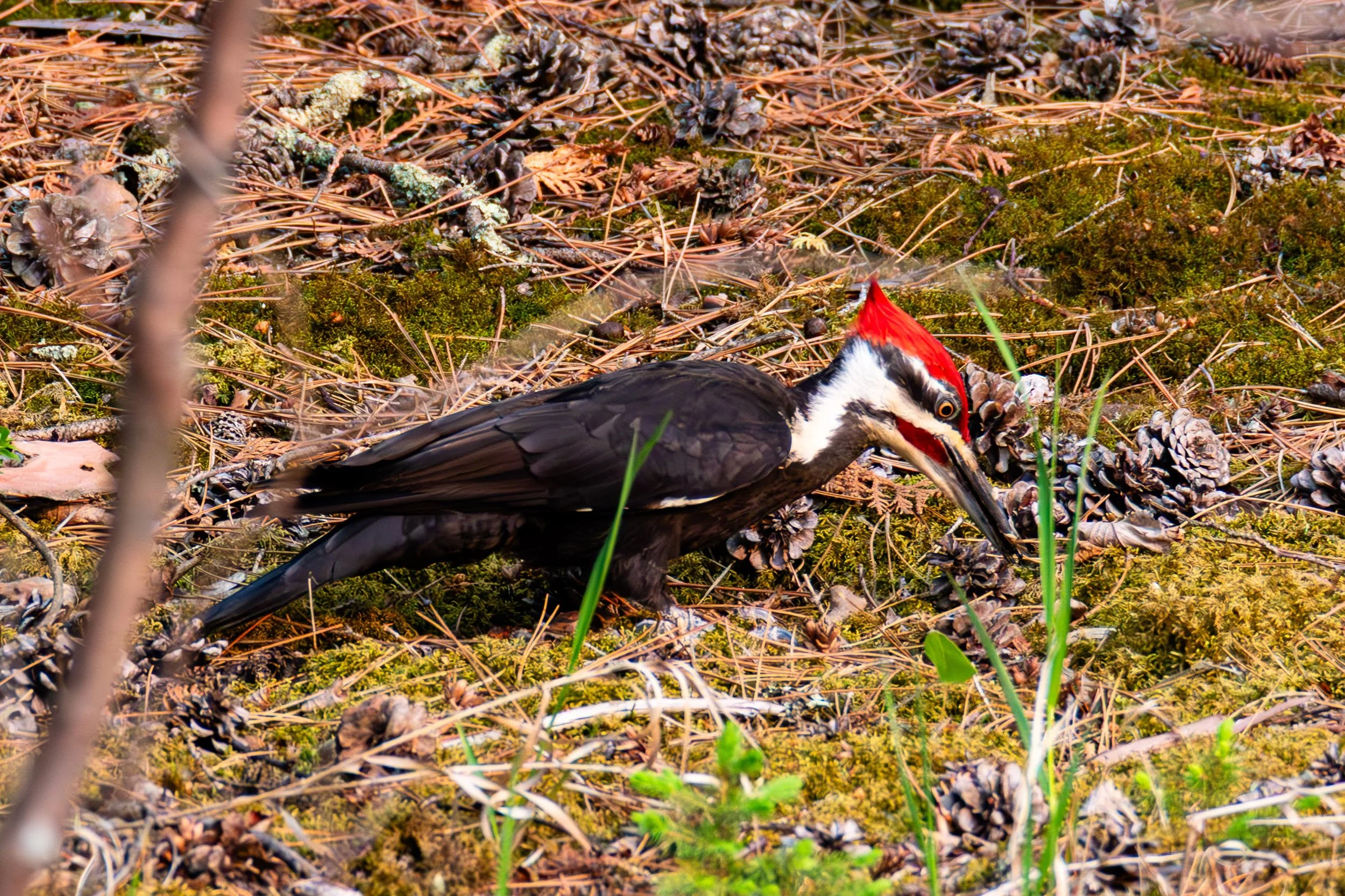 684A7347-Enhanced-NR.jpg