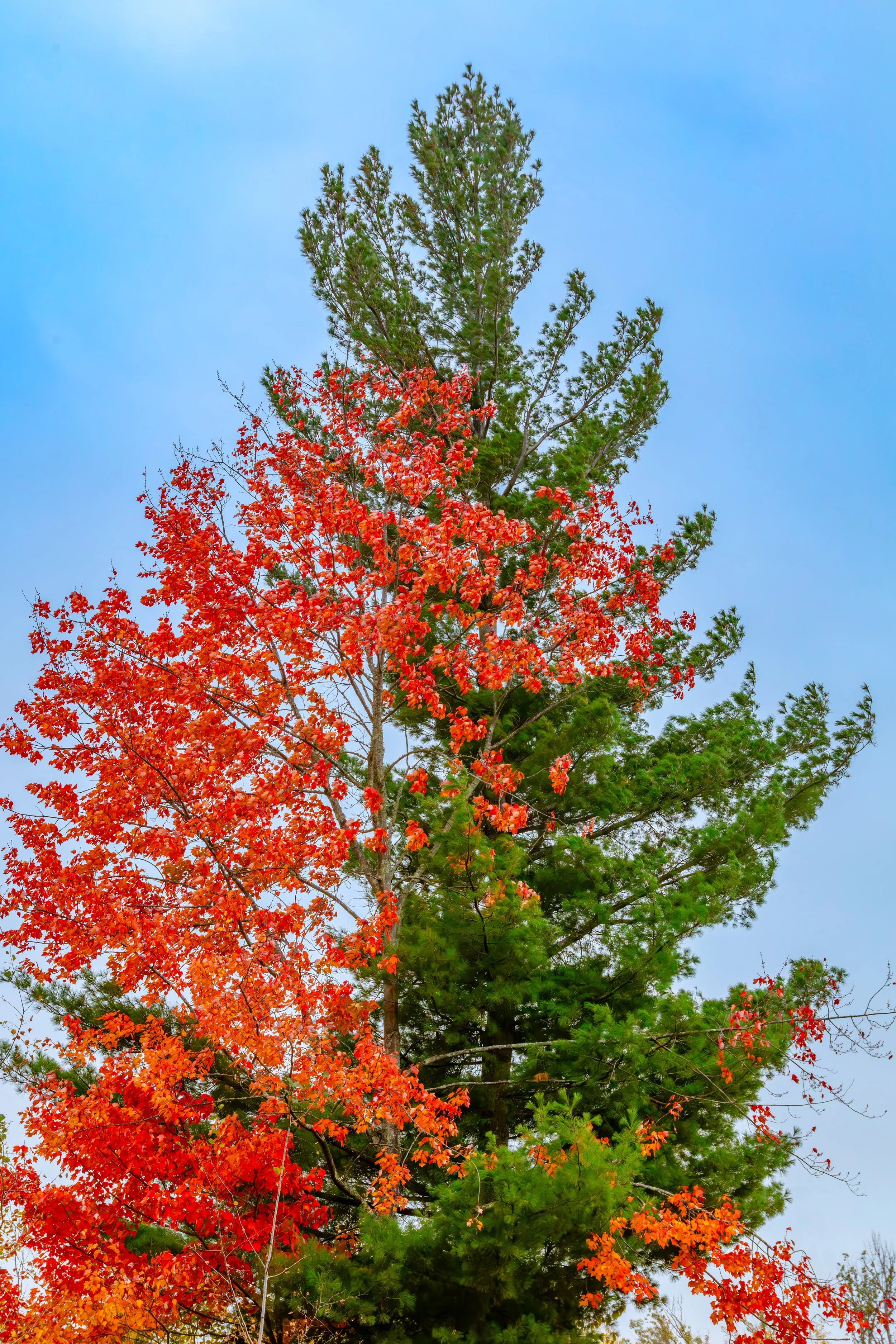 0B0B0115-Enhanced-NR.jpg