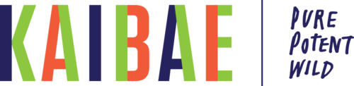 Kaibae_Logo_PPW_4color_H_250x@2x.png