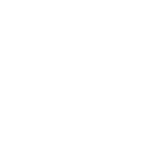 publicis.png