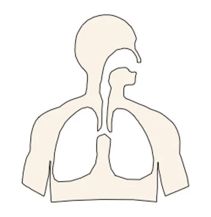 Schematic.jpg