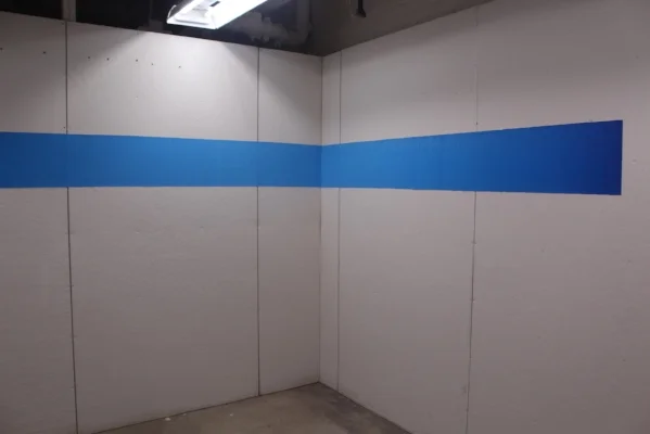 Manganese Blue Hue 100