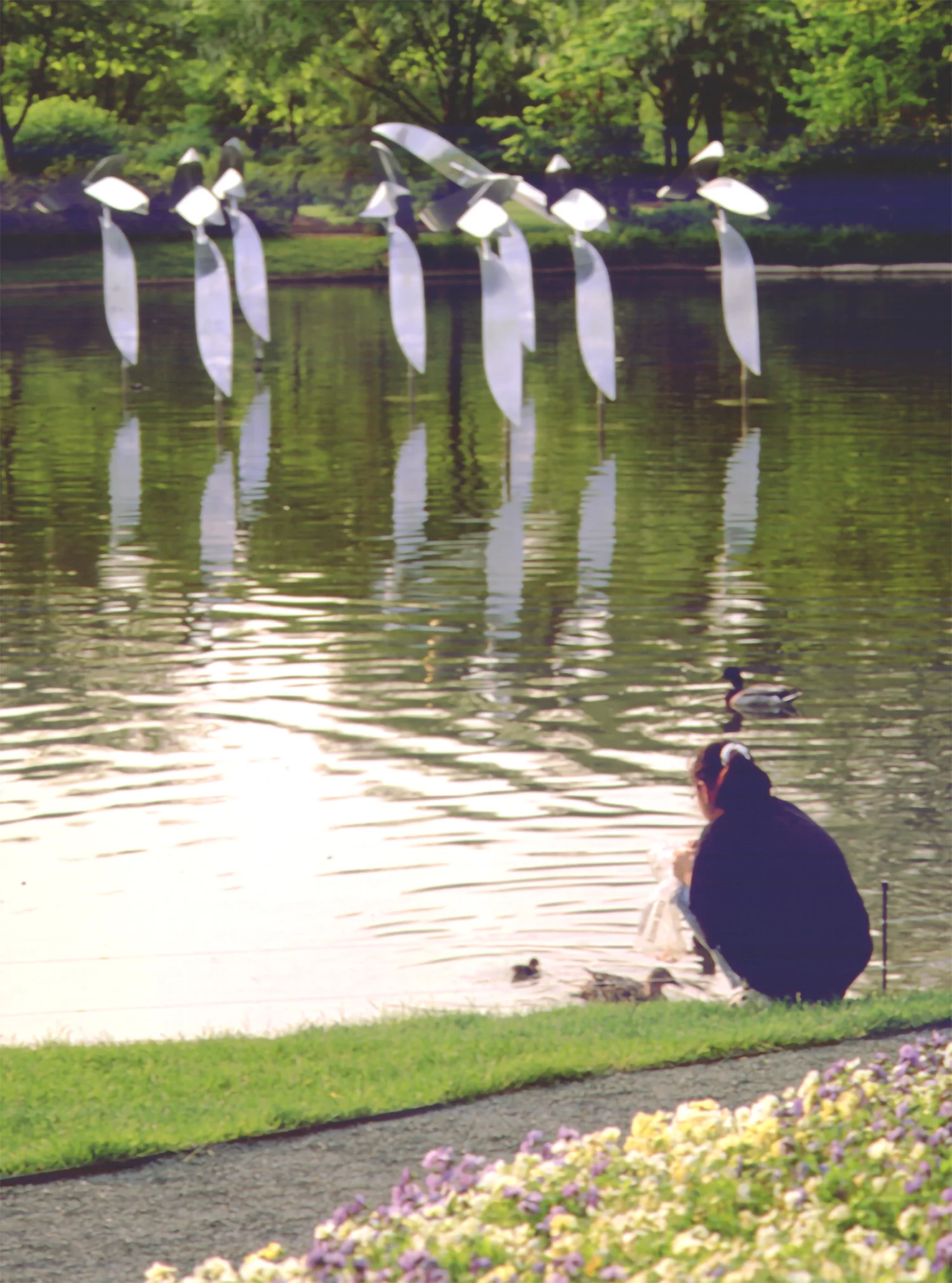 pond-2-dulles.jpg
