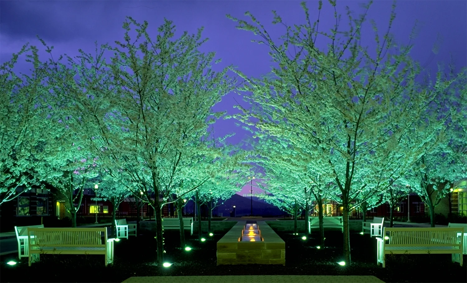 night-penn-state.jpg