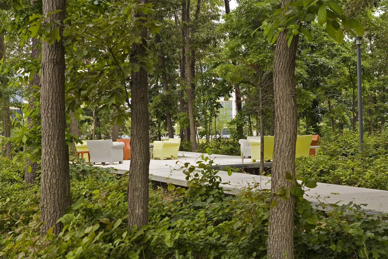 deck-2-woodland.jpg