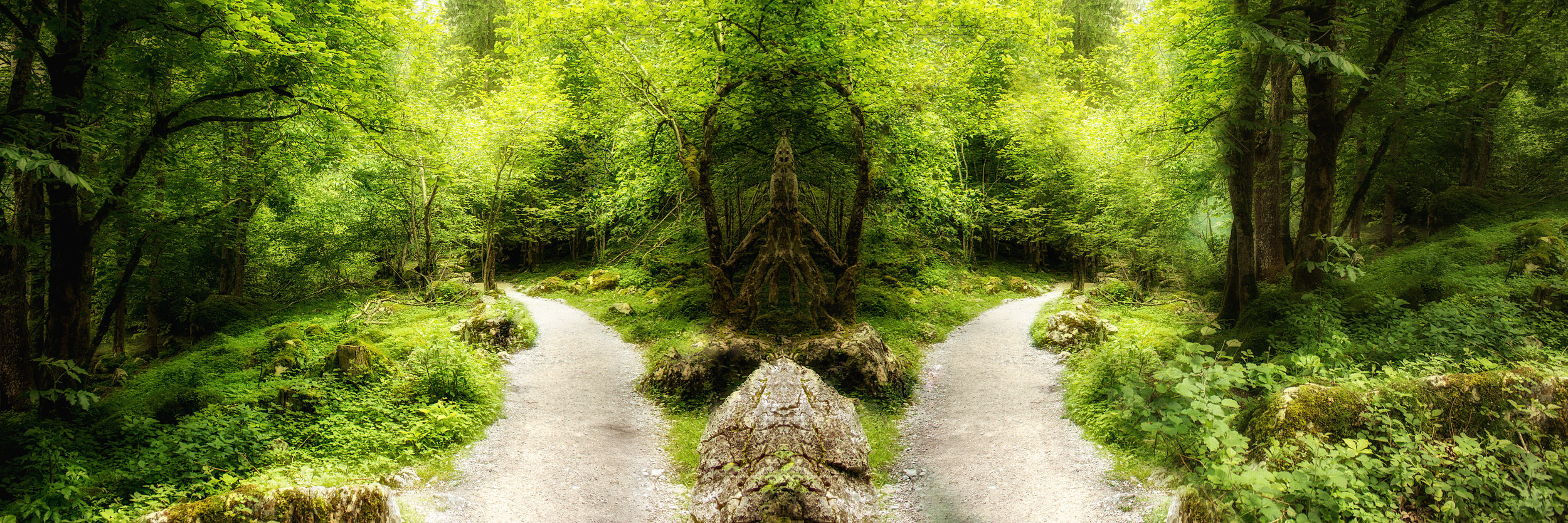 AdobeStock_256202887.jpeg