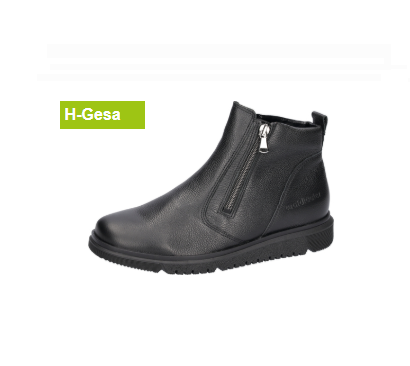 gesa.png