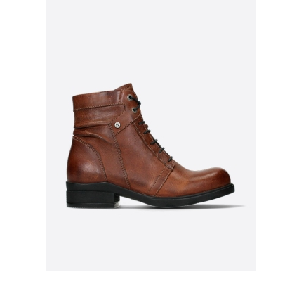 2625.png