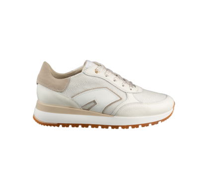 DLSport 6225 bianco  | € 184,95