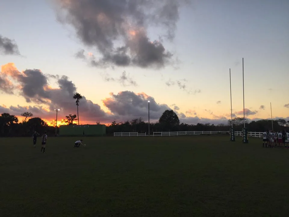 Surge Field 'Sunset.jpg