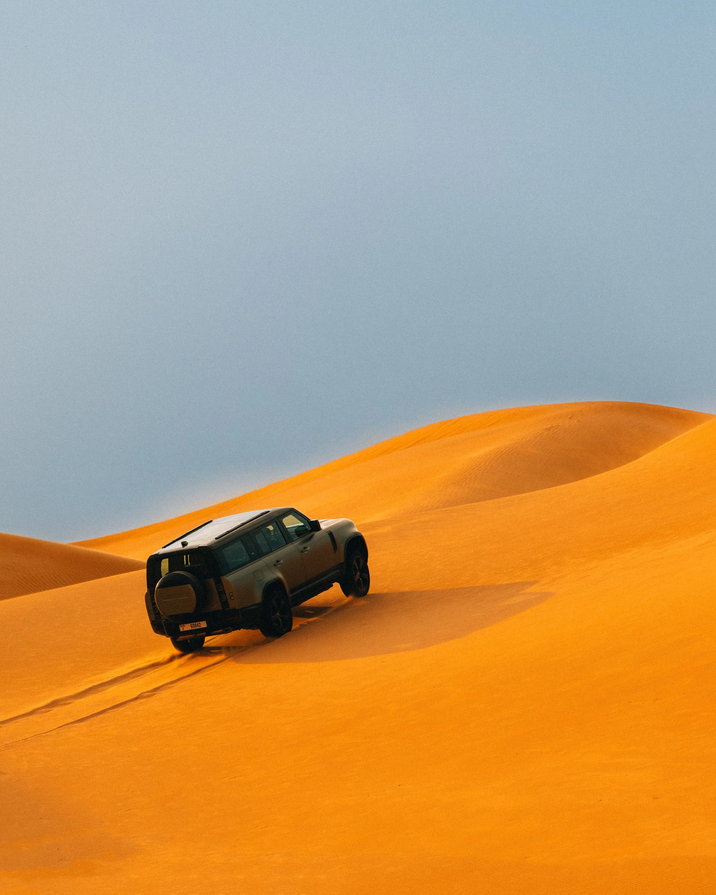 Defender / Lost Sands