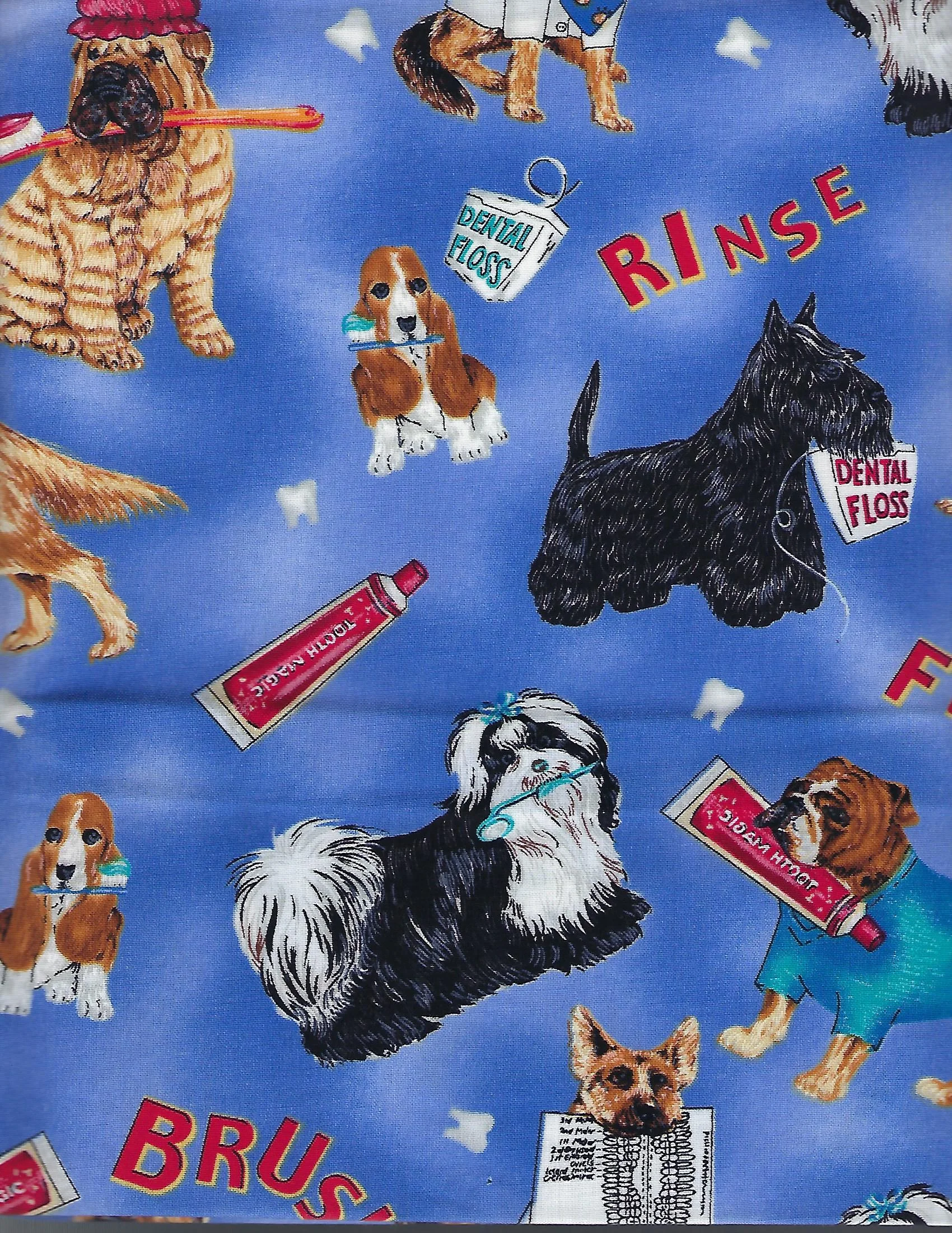 Dogs - Dentist.jpg