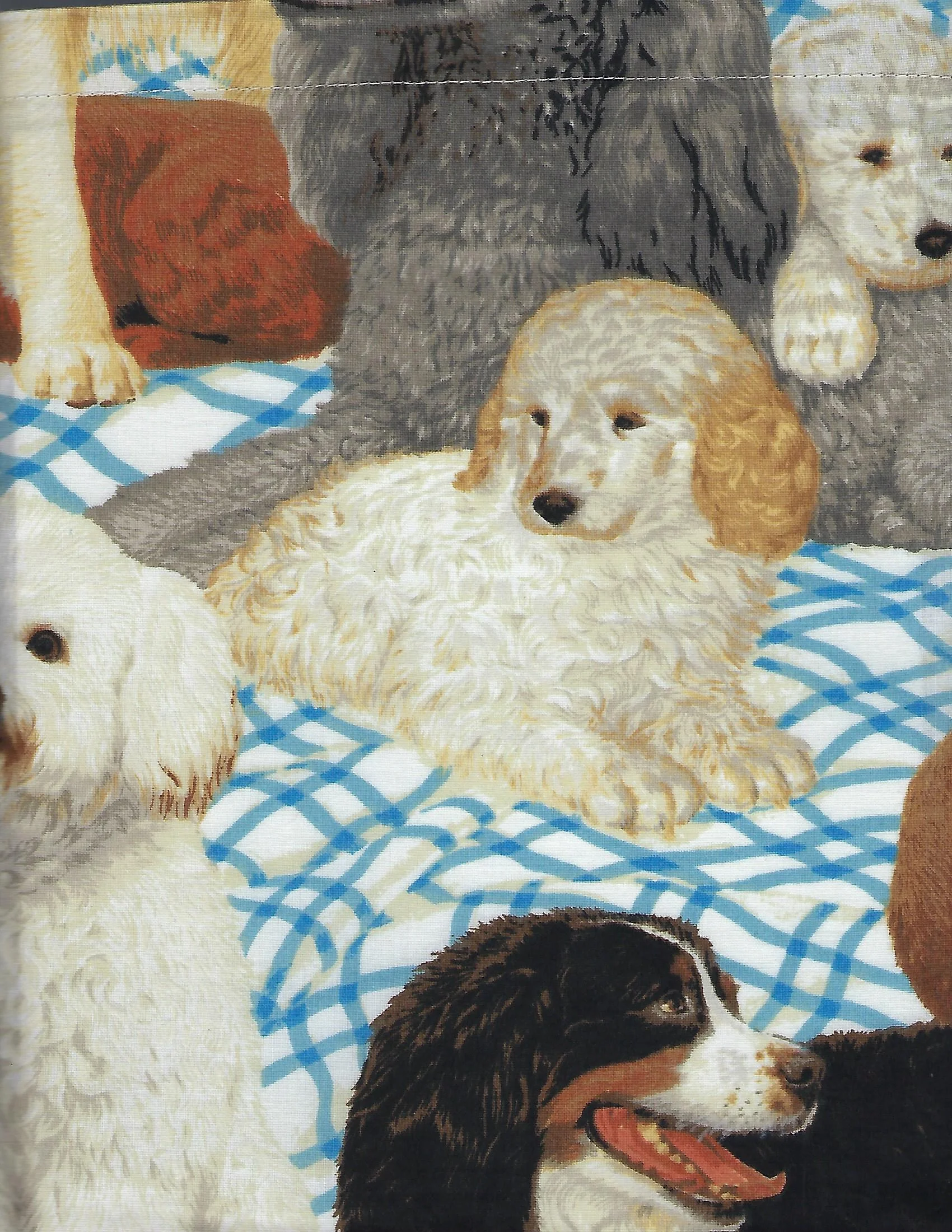 Dogs with Blue and White Blanket.jpg