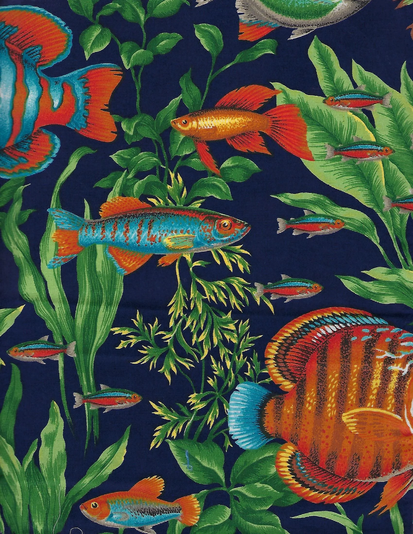 Fish - Tropical on Navy.jpg
