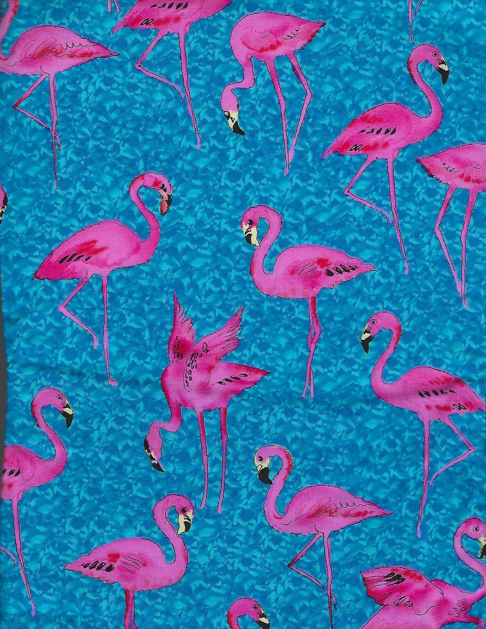 Flamingos.jpg