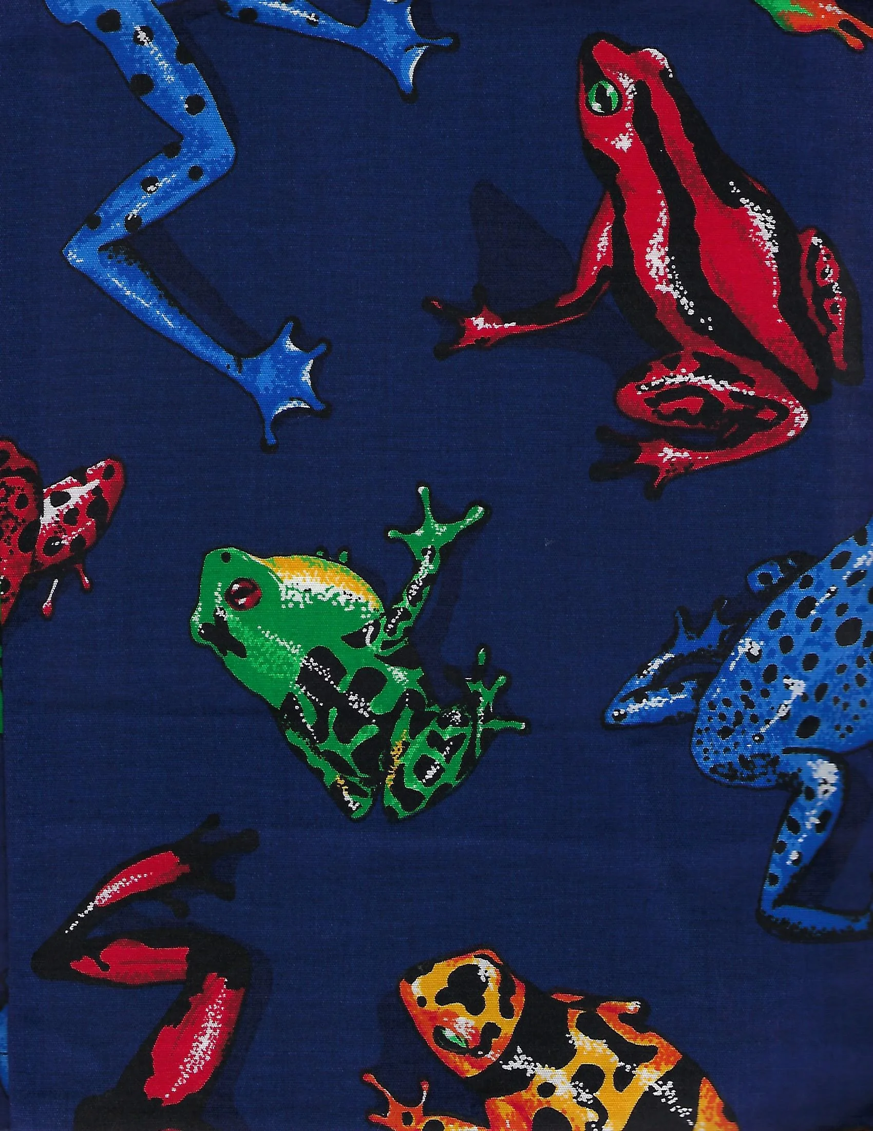 Frogs on Navy.jpg