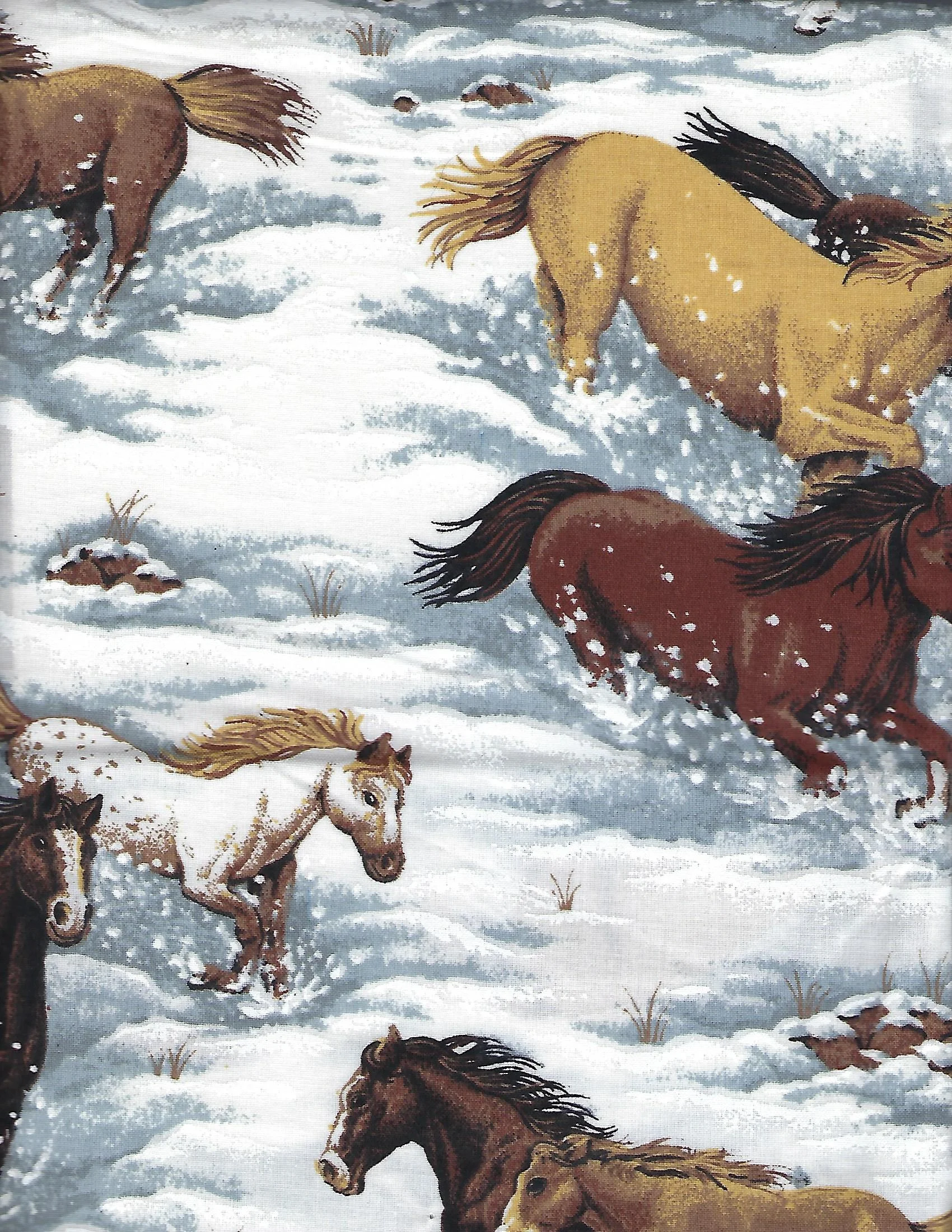 Horses in Snow.jpg