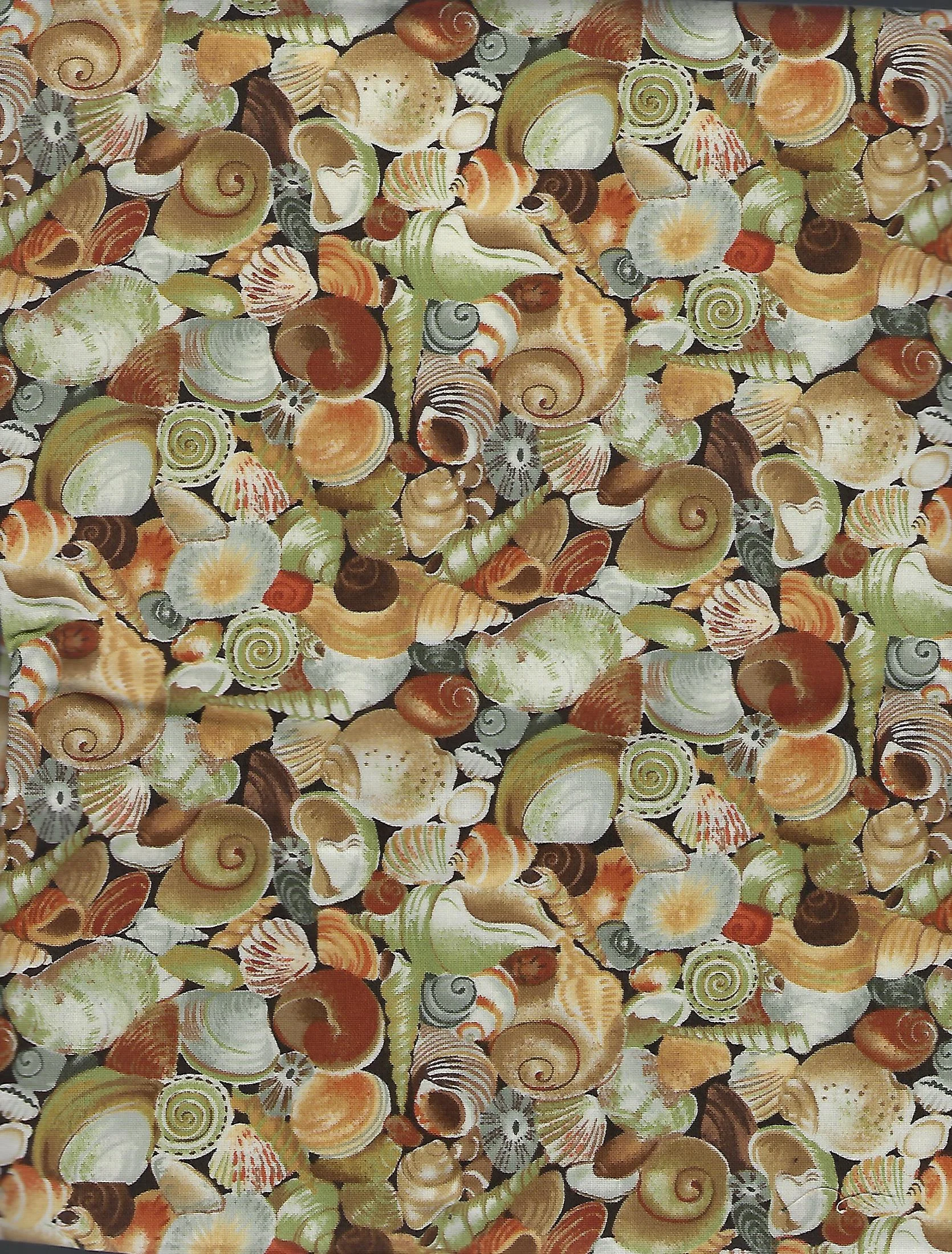 Shells Brown.jpg