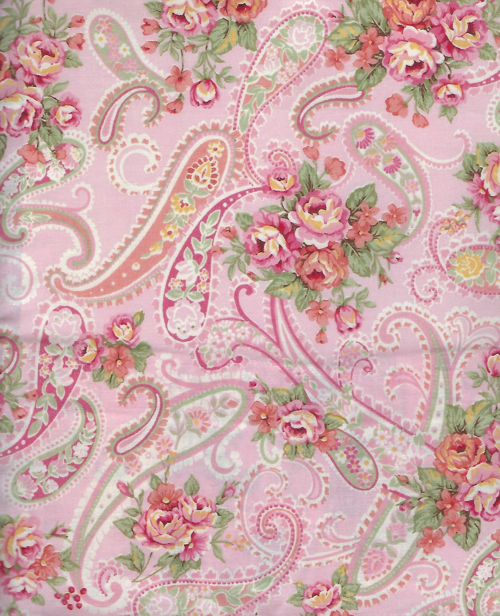 Paisley - Coral.jpg