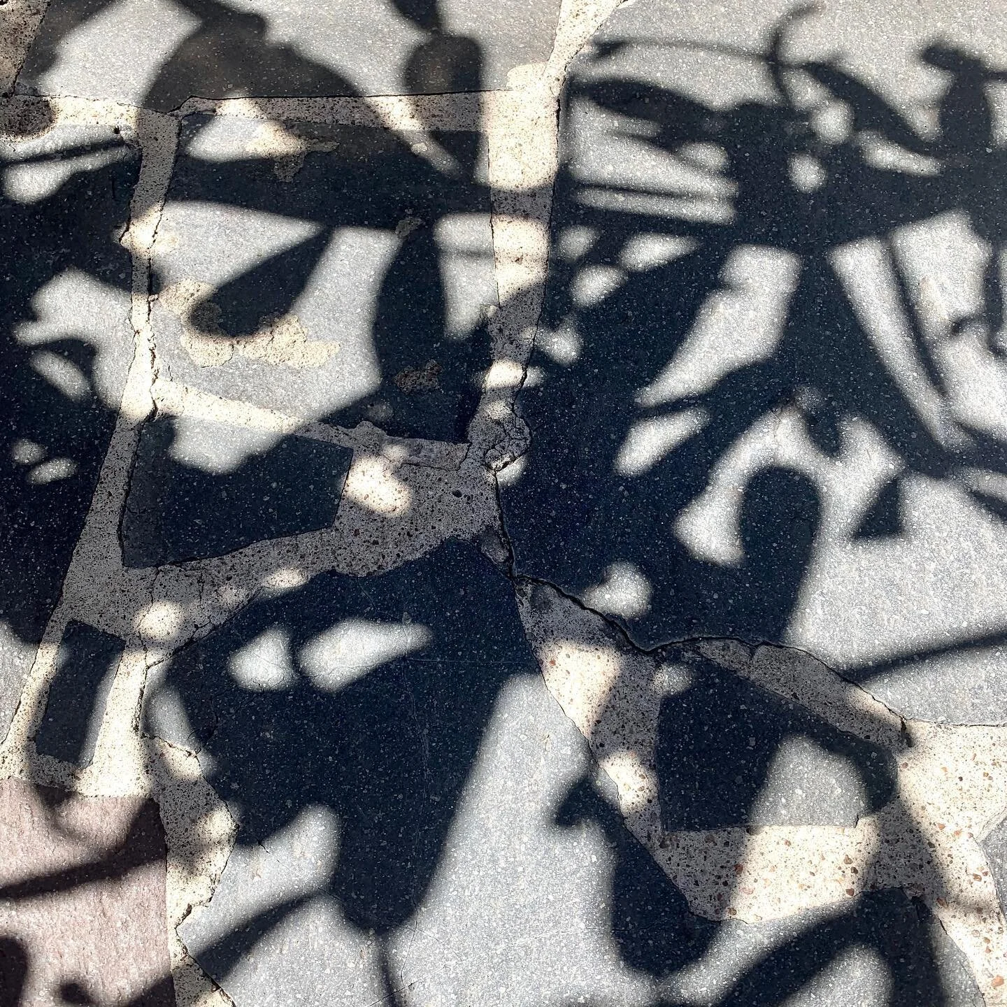 #shadowplay for #shadowhunters Love these #naturalpatterns  #foundart