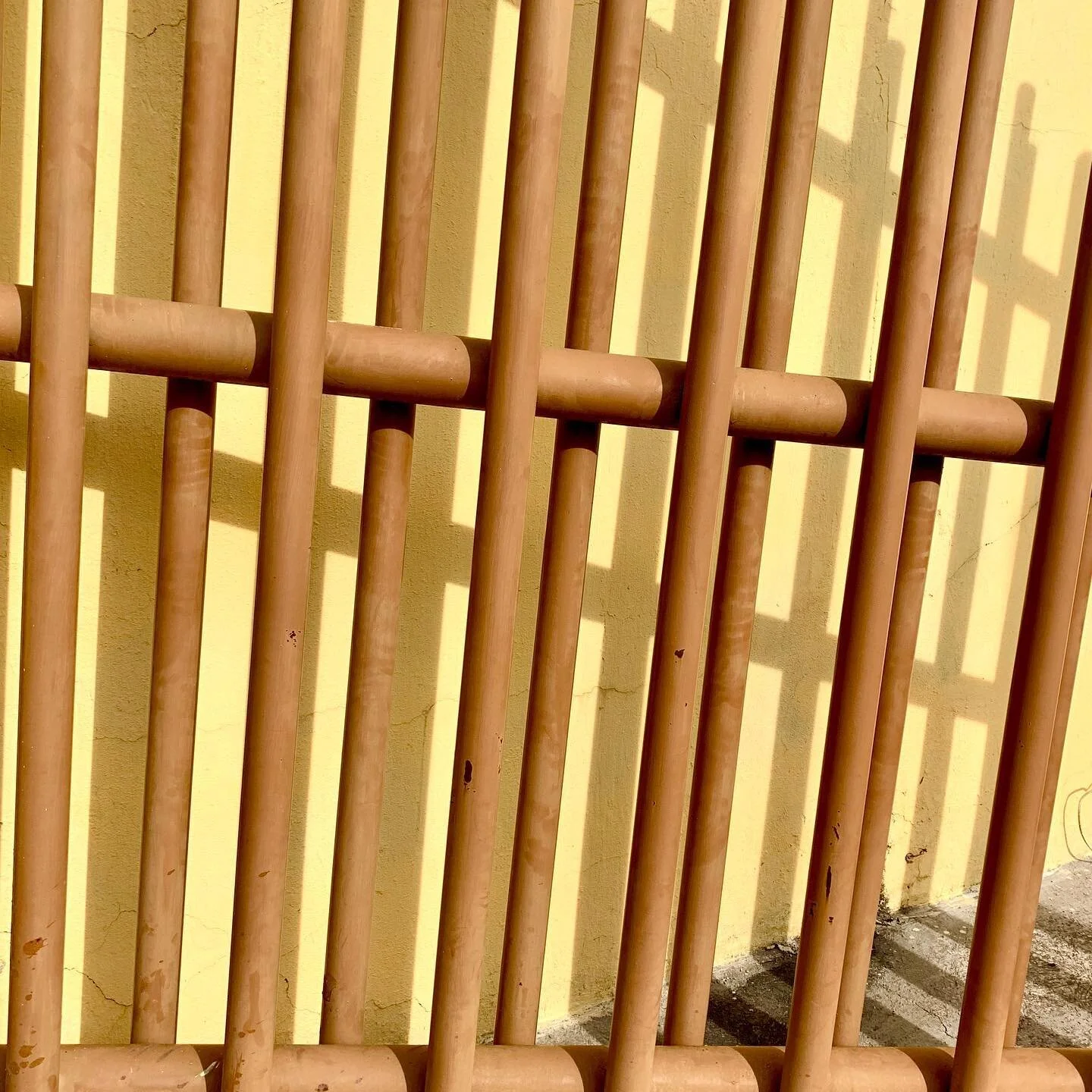 #shadowhunters find the goods everywhere. Love the graphic strength of this (open) fence in #sma #mexico