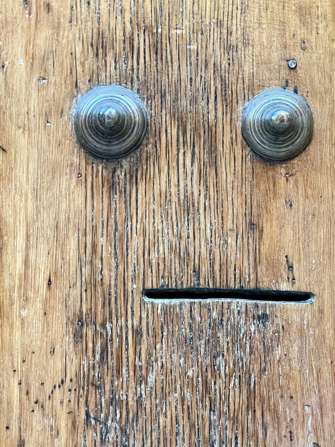 image.jpeg