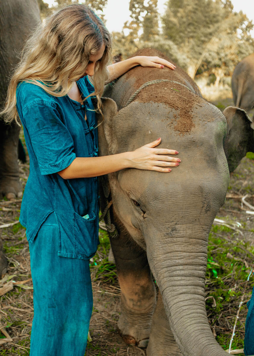best elephant sanctuary chiang mai